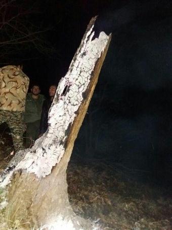 تکذیب سقوط شی نورانی در علی آباد کتول تکذیب سقوط شی نورانی در علی آباد کتول