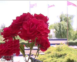 گرما ، استان زنجان را تابستانی تر کرد