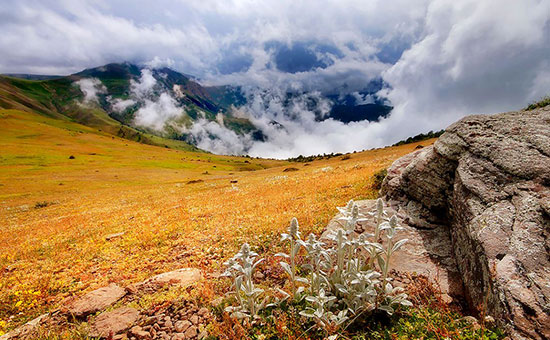 دیدنی ترین نقاط ایران برای سفرهای آخرشهریور