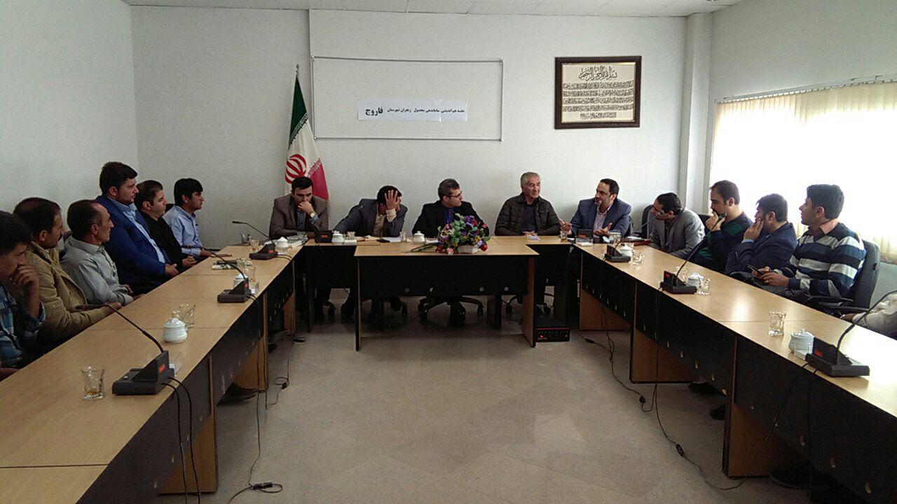 سود اقتصادی 50 میلیارد تومانی زعفران در فاروج