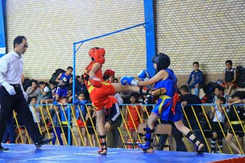 تربت حیدریه قهرمان رقابتهای ووشوی خراسان رضوی