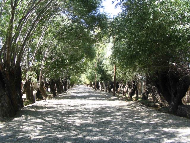 ممنوعیت ورود افراد به تفرجگاهها و مناطق گردشگری شهرستان فردوس ممنوعیت ورود افراد به تفرجگاهها و مناطق گردشگری شهرستان فردوس