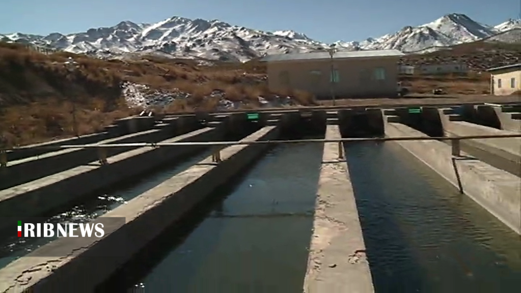 آبزی پروری ظرفیتی بزرگ و سودآوردر کرمان