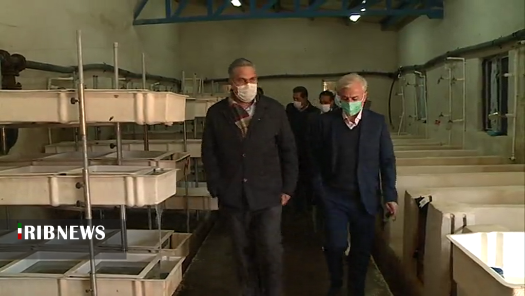 آبزی پروری ظرفیتی بزرگ و سودآوردر کرمان