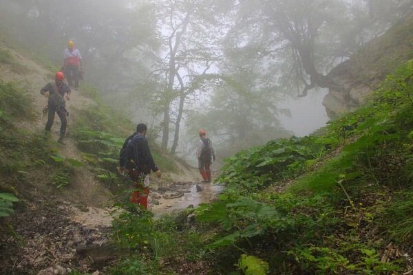 امدادگران در جستجوی فرد گم شده در جنگل ابر