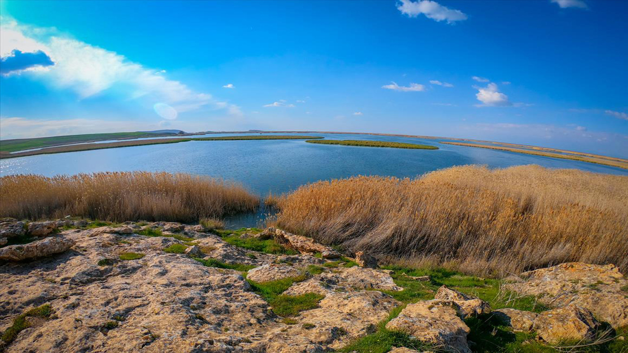 افزایش مساحت تالاب کانی برازان