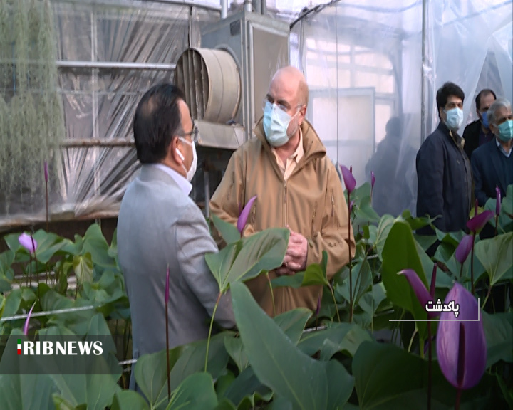 رئیس مجلس امروز میهمان پاکدشت بود رئیس مجلس امروز میهمان پاکدشت بود