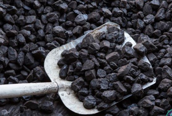 دستگیری قاچاقچی زغال سنگ در پارک ملی دز دستگیری قاچاقچی زغال سنگ در پارک ملی دز