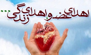 اهدا عضو بیمار مرگ مغزی در قم