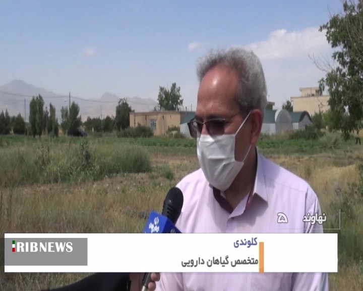 جهش تولید با مفت فروشی 