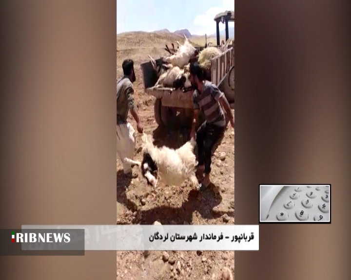 پیگیری رفع آلودگی‌های زیست محیطی در بخش فلارد + فیلم