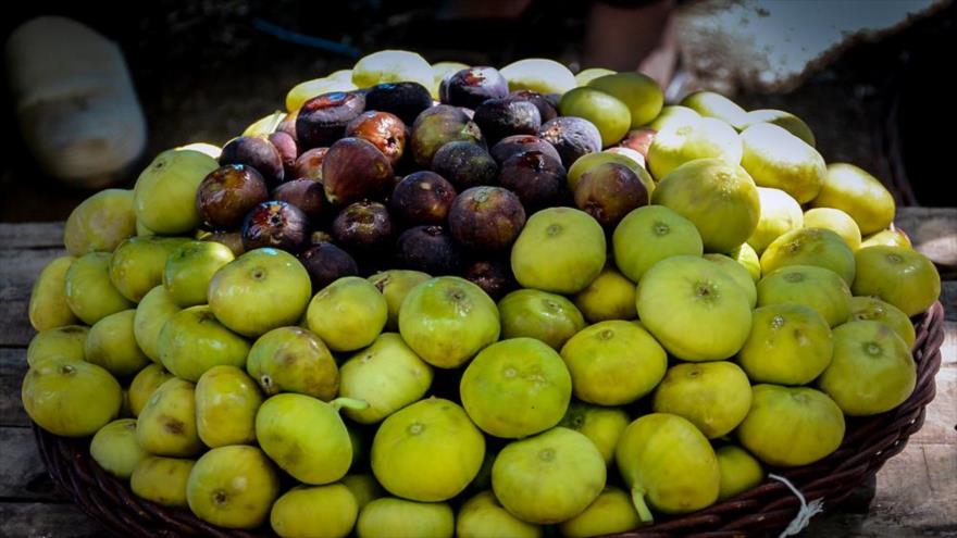 درباره انجير چه می‌دانيد؟
