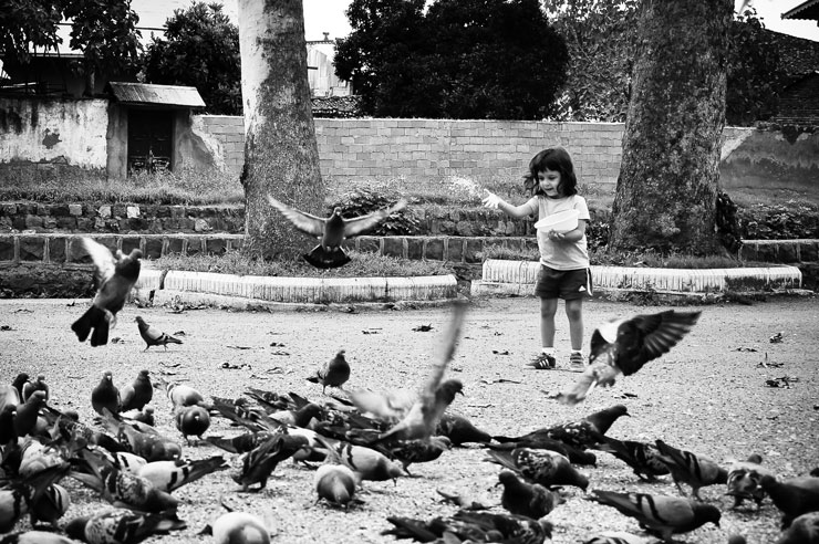 قانون پرکاربرد عکاسی قانون پرکاربرد عکاسی