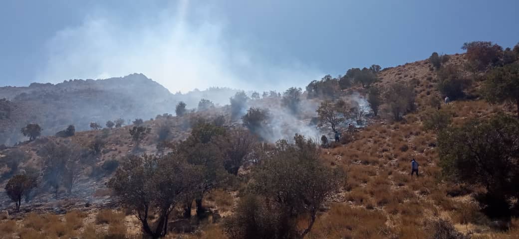 مهار اتش در اراضی طبیعی نی ریز مهار اتش در اراضی طبیعی نی ریز