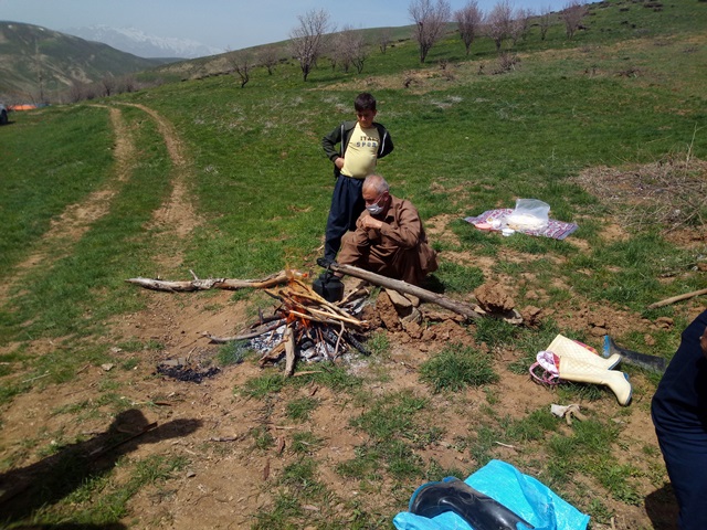 خوان نعمتی به وسعت فصل بهار