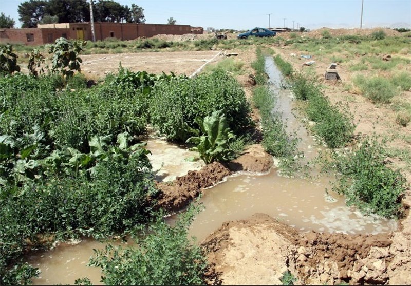 خشکسالی، تنش و چالش&zwnj;های بی آبی