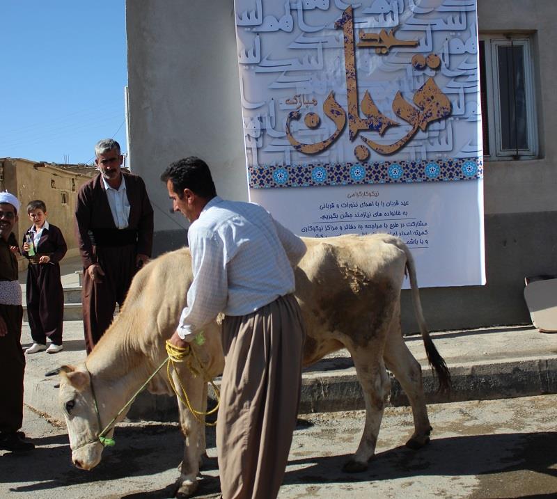 ذبح بیش از ۱۱ هزار راس دام در عید قربان امسال در کردستان