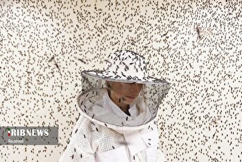 عکسهای منتخب جهان / ۲۱ اردیبهشت ۱۴۰۴