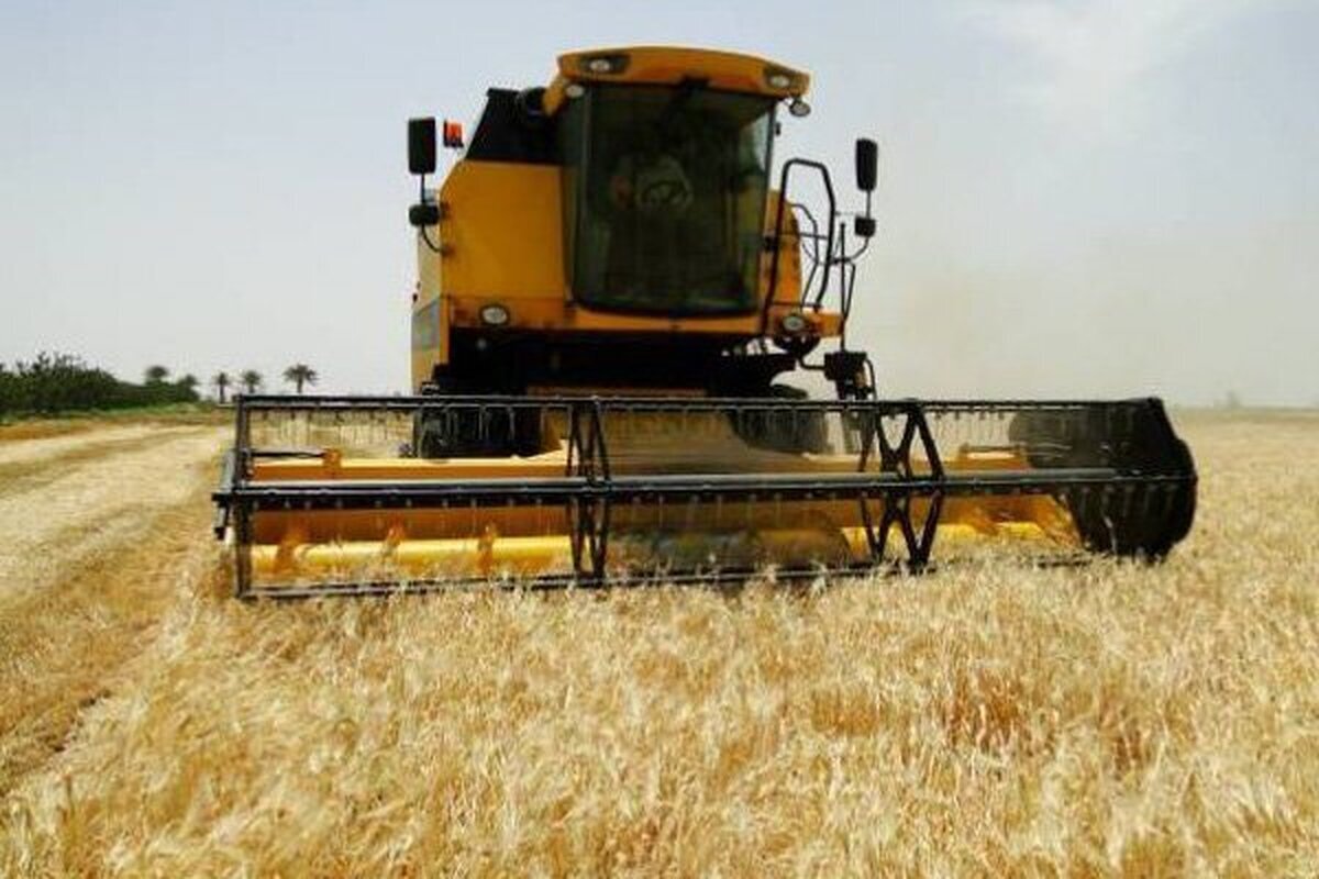 برداشت جو از مزارع آذربایجان غربی آغاز شد