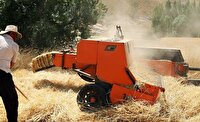 آغاز برداشت جو از مزارع آذربایجان غربی