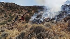 دود در آسمان شیراز ، ناشی از آتش سوزی مراتع