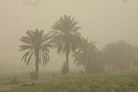 وزش باد و گرد و خاک در جنوب غرب خوزستان