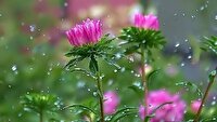 پیش بینی رگبار باران و رعد و برق برای ۶ استان