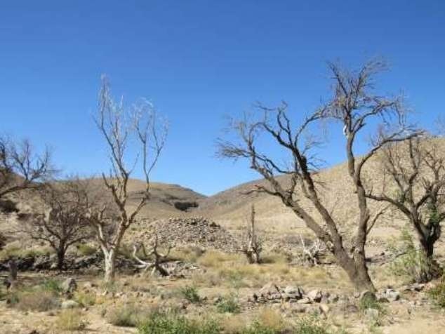 کاهش ۴۴ درصدی بارش‌ها در خراسان جنوبی