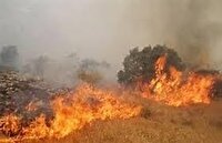 آتش سوزی در یک هکتار از مراتع بارده