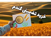 خرید تضمینی ۲۰۰۰ تن گندم در ساری