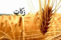 جمع آوری بیش از ۲ میلیارد تومان زکات در بندرلنگه