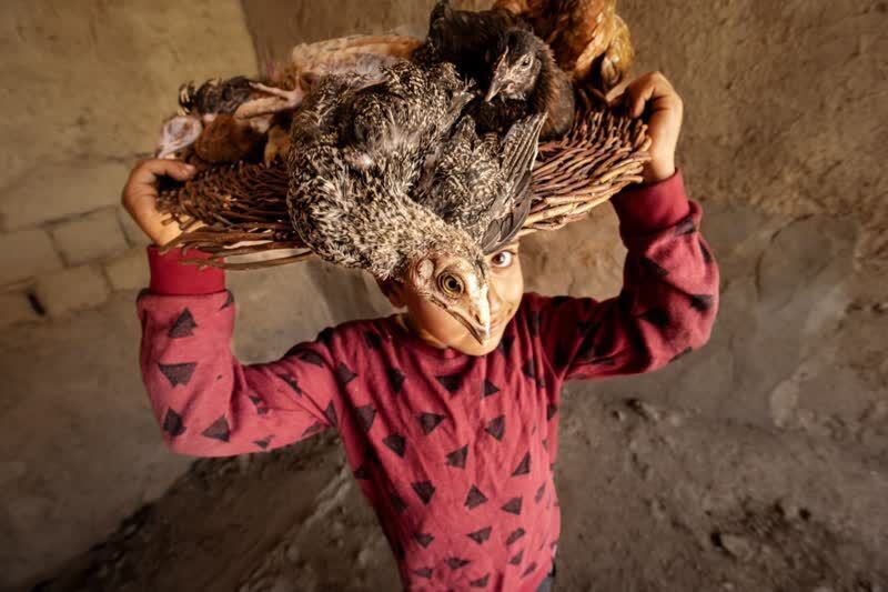 کسب نشان طلای جشنواره بین المللی بنین توسط عکاس بوکانی