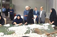 بازدید استاندار گیلان از شرکت صنایع ابریشم استان در صومعه‌سرا