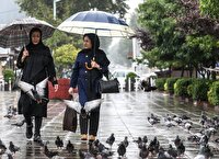 رگبار باران در شمال و شمال غرب کشور