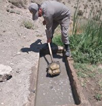 لایروبی آبشخورهای منطقه حفاظت‌شده مراکان توسط محیط‌بانان