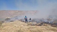 آتش سوزی گسترده در گندمزار‌ها و مراتع روستای یار عزیز تکاب