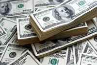 تامین ارز کالا‌های اساسی به‌خوبی انجام می‌شود