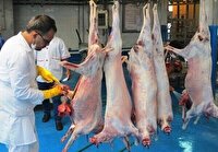 اجرای طرح تشدید نظارت بهداشتی بر فرآورده‌های دامی در زنجان