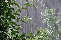آسمان ابری و بارانی گیلان تا ۴۸ ساعت آینده