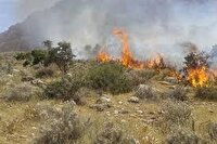نابودی بیش از ۱۴ هکتار از مراتع شهرستان قوچان بر اثر سه آتش سوزی