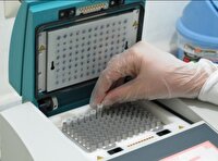 انجام بیش از ۳ هزار آزمایش در مرکز ملی بررسی و تشخیص بیماری‌های میگو