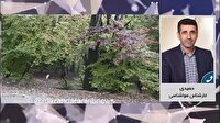 رگبارهای پراکنده در راه مازندران، افزایش دما از پایان هفته