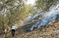 مهار آتش سوزی در منطقه شاه بهرام باشت