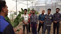 آغاز دوباره فعالیت گلخانه آموزشی در کبودراهنگ