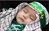 همایش شیرخوارگان حسینی درهرمزگان؛ فردا