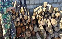 دستگیری ۲۱۹ متخلف حوزه منابع طبیعی و آبخیزداری گیلان