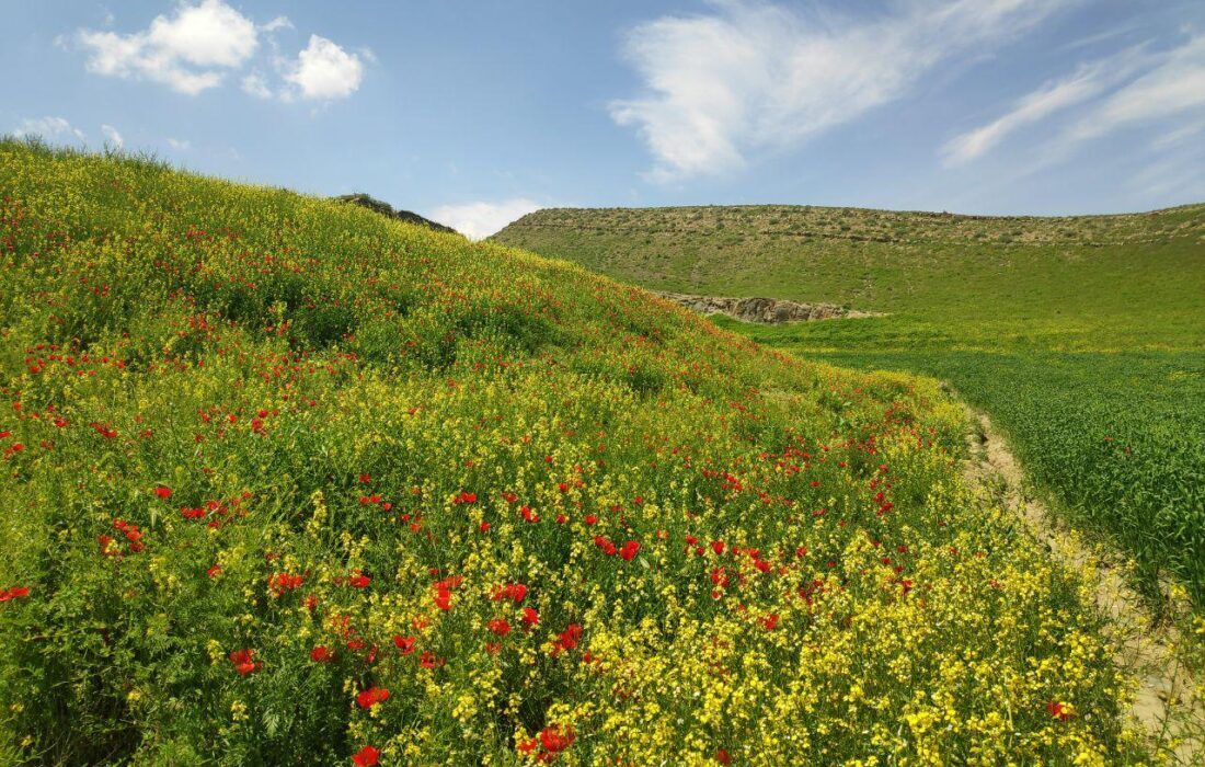 درخشش آفتاب تابستانی در سراسر گیلان