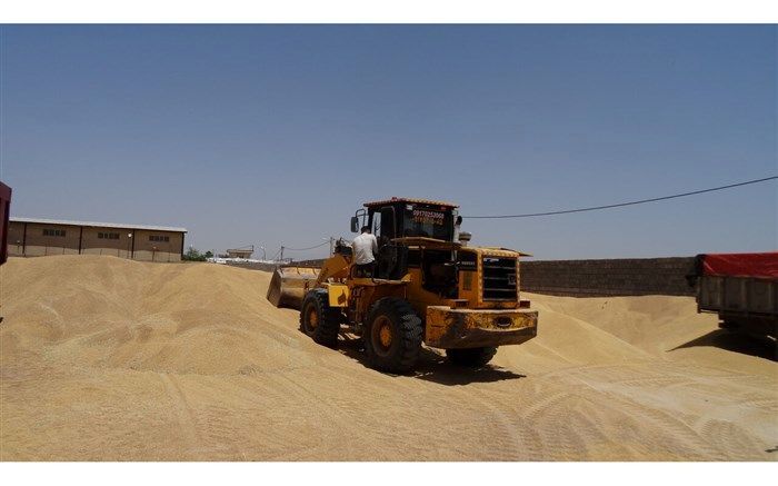 راه‌اندازی چهار مرکز خرید تضمینی گندم در میاندوآب