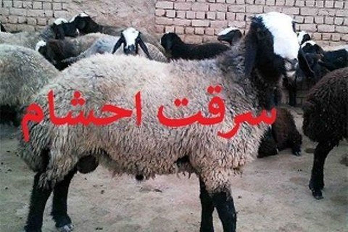 دستگیری سارقان احشام در لارستان