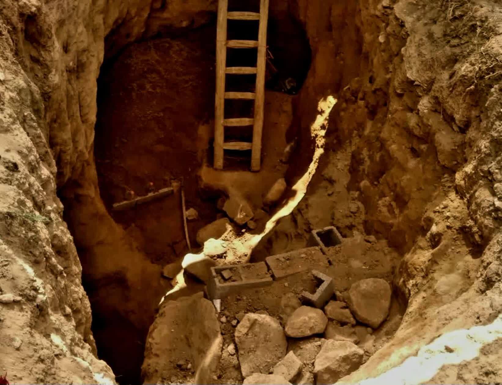 حفاری ناتمام ۳ فرد غیربومی در یک باغ حفاری ناتمام ۳ فرد غیربومی در یک باغ